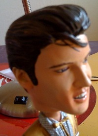 エルビス顔.jpg